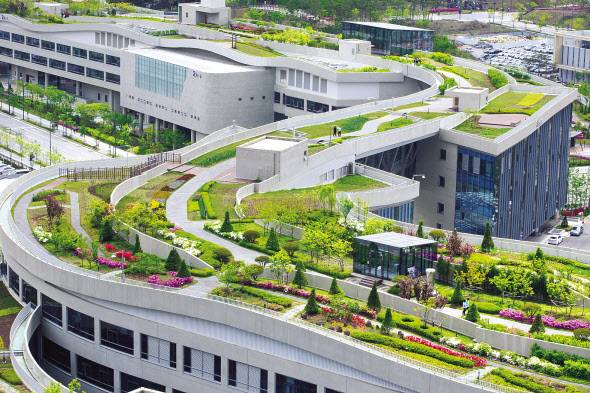 세계 최대 옥상정원으로 기네스북에 오른 정부세종청사 옥상정원