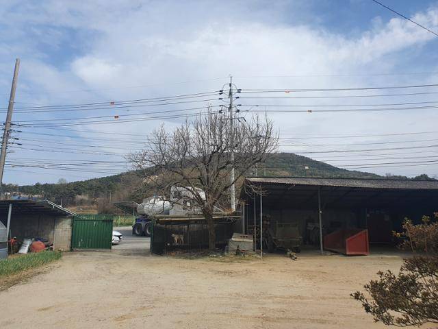 전북 익산에서 농사를 짓는 주민 B(77)씨의 집 마당 앞으로 낭산 폐석산에서 흘러나온 침출수를 실은 차량이 지나가고 있다. 이정원 기자