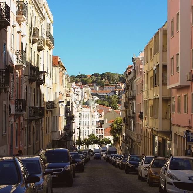 매일 아침, 숙소에서 나오면 가장 먼저 마주했던 풍경