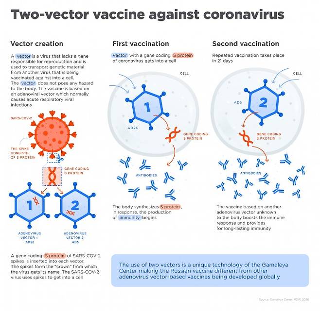 스푸트니크V 백신은 아데노바이러스26형을 1차 접종에 쓰고 아데노바이러스5형을 2차 접종에 쓰는 혼합 방식을 이용한다. 가말레야연구소 제공