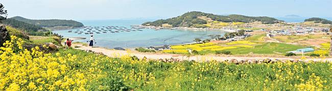 청산도 당리 마을 언덕을 따라 ‘청산도 슬로길’을 걷던 관광객이 바다를 배경으로 사진촬영을 하고 있다. 청산도의 낭만적인 봄 풍경은 가득 피어난 노란 유채꽃과 구들장 논의 초록 보리밭, 그리고 발아래로 내려다보이는 푸른 바다의 합작으로 만들어진다.