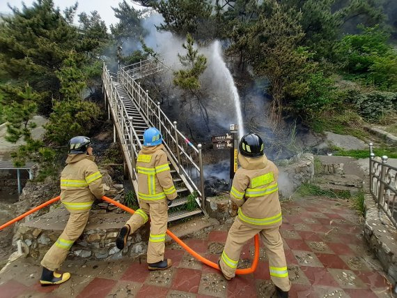 23일 오전 9시 21분께 부산 영도구 절영산책로 인근 야산에서 불이 났다. (사진=부산소방재난본부 제공)