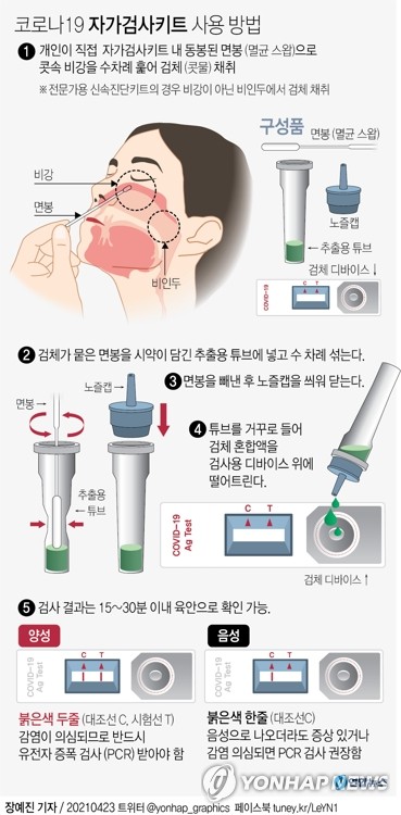 [그래픽] 코로나19 자가검사키트 사용 방법 (서울=연합뉴스) 장예진 기자 = jin34@yna.co.kr