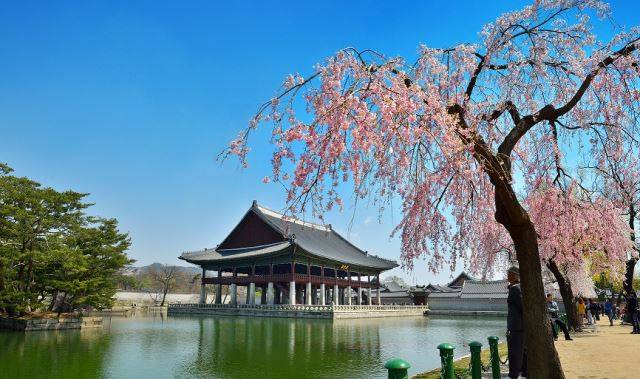 올 봄 궁중문화축전이 열리는 경복궁 경회루의 전경.   한국문화재재단