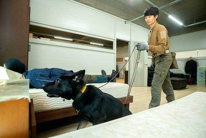 조로가 실내 훈련장에서 C-4 폭약을 찾아내는 인지 훈련을 하고 있다. /임화승 영상미디어 기자