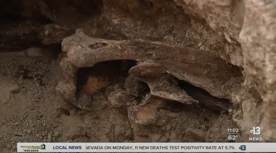 사진=KTNV Channel 13 Las Vegas 유튜브 캡처