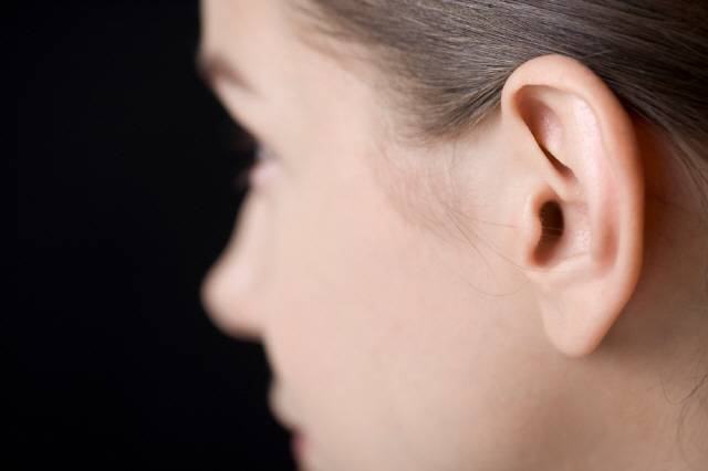 물이 들어간 귀를 아래쪽으로 향하게 하고 귀를 가볍게 흔들면 대부분 물이 빠진다./사진=클립아트코리아