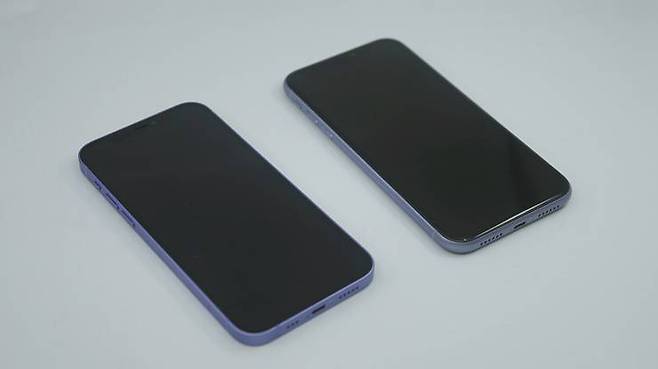 아이폰 12 퍼플과 아이폰 11 퍼플