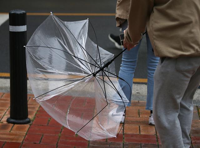 지난 4일 오후 울산시 남구 한 거리에서 비와 함께 강한 바람이 불어 우산이 뒤집어지고 있다. 연합뉴스