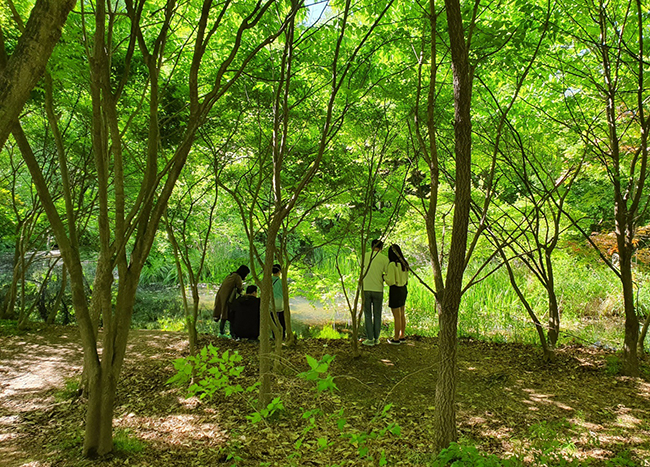 경기 오산 물향기수목원 내 습지생태원에서 방문객들이 연못 안을 들여다 보고 있다. /사진=송경은 기자