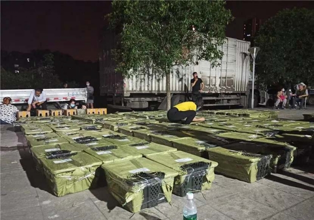 동물구조단체가 택배 트럭의 짐칸을 빼곡히 채운 상자들을 하나하나 뜯어 동물들을 구조하는 모습. 웨이보 캡처
