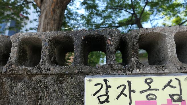 강릉감자옹심이 본점 담벼락. 노포는 음식 맛 뿐만 아니라 오래된 간판이나 담장으로 존재감을 드러낸다.
