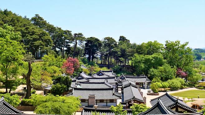 선교장은 강릉의 대표 관광지 중 하나다. 청룡길과 백호길 둘레길도 나 있다. 선교장과 강릉의 모습을 조망할 수 있다. 백호길에서 본 풍경.