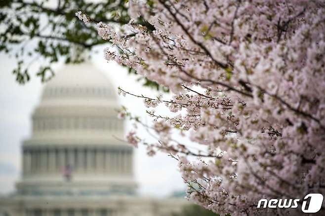 미 워싱턴DC의  의사당 © AFP=뉴스1 © News1 우동명 기자