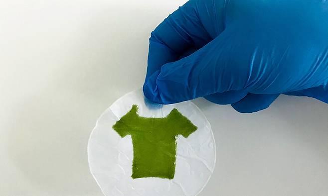 미국 로체스터대 안느 메이어 교수 실험실에서 3D 프린터와 조류를 이용한 바이오 잉크 기술로 만든 광합성 생물 재료로 제조한 미니 티셔츠. 로체스터대 제공