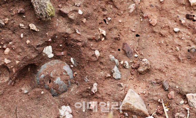 경기도 화성 송산면 우음도 가는 길에서는 시화방조제 건설로 발견된 공룡알 화석을 만나볼 수 있다.