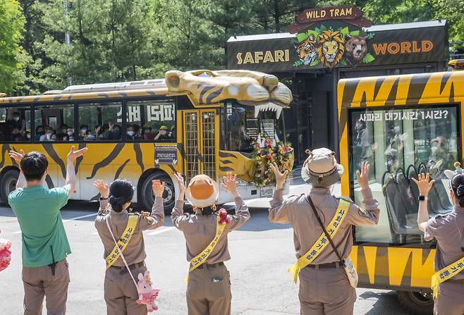대국민 복무 45년만에 에버랜드 사파리 운전기사, 사육사들의 환송 속에 퇴역식을 갖는 사파리 버스.