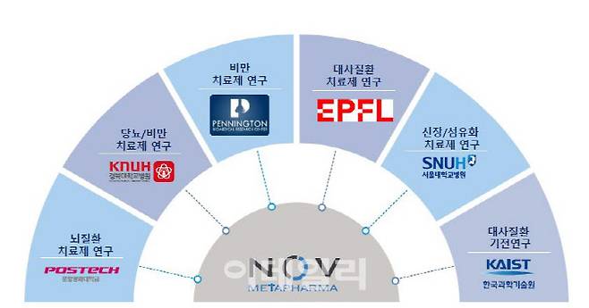 노브메타파마 신약개발 협력기관 개요.(자료=노브메타파마)