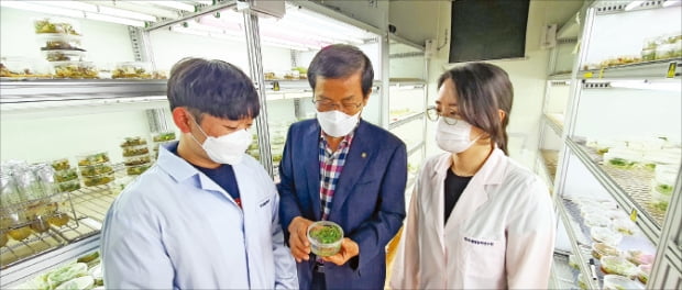 한국생명공학연구원 식물시스템공학연구센터는 척박한 농업 환경에서도 잘 자라는 고구마 개량 연구를 하고 있다. 곽상수 책임연구원(가운데)이 고구마를 살펴보고 있다. 한국생명공학연구원 제공