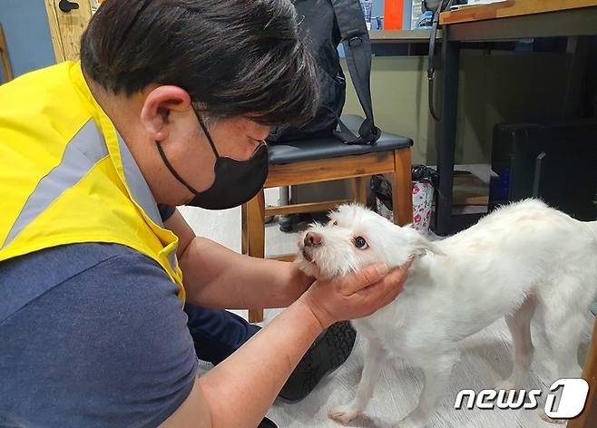 황동열 팅커벨프로젝트 대표와 센터에서 새 가족을 기다리고 있는 강아지 © 뉴스1 최서윤 기자