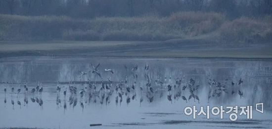 장항 람사르 습지 [고양시 제공]