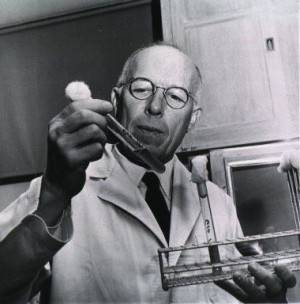 르네 듀보스 (1901~1982). 록펠러재단 제공