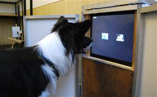 출처: 이미지출처[University of Vienna]