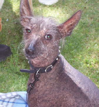 출처: 이미지출처 [pixabay]