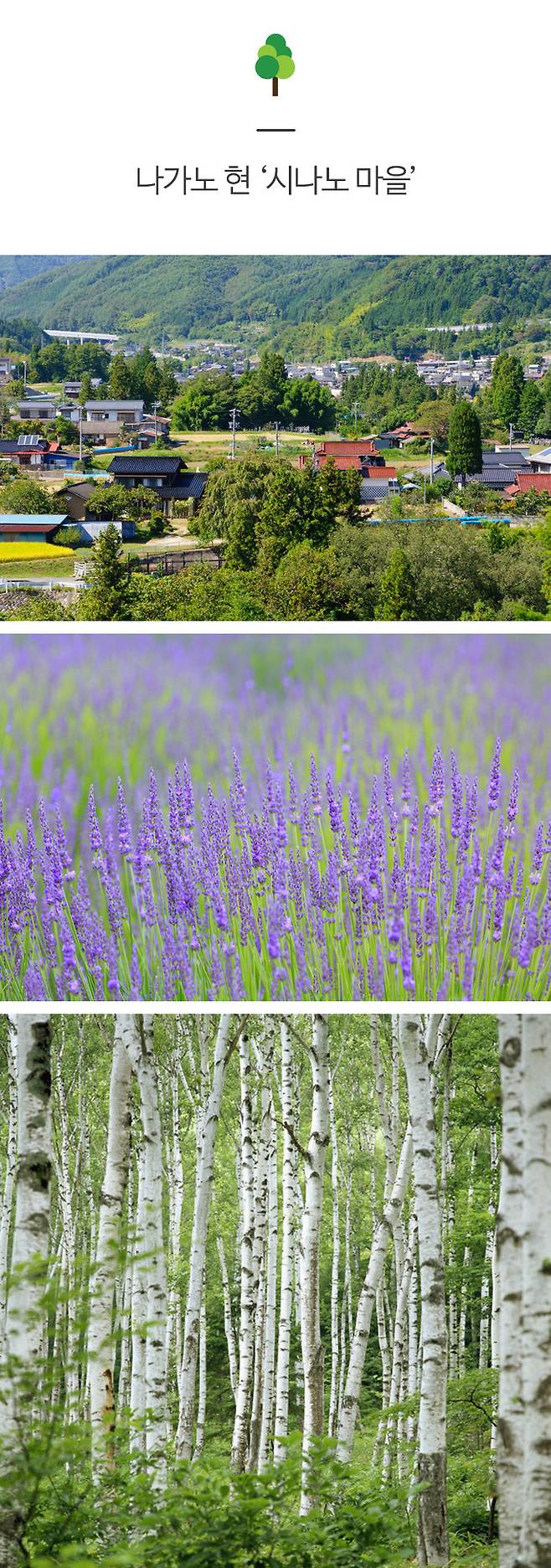 출처: gettyimagesbank