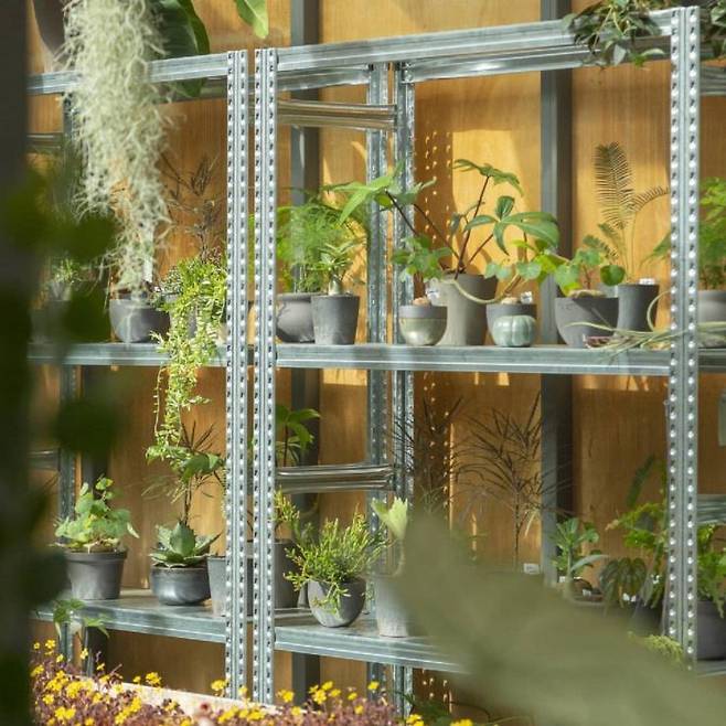 인스타그램 @poteriedeuxgarcons