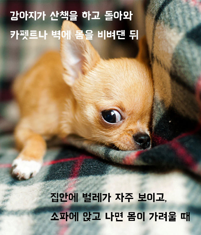 출처: FreeQration