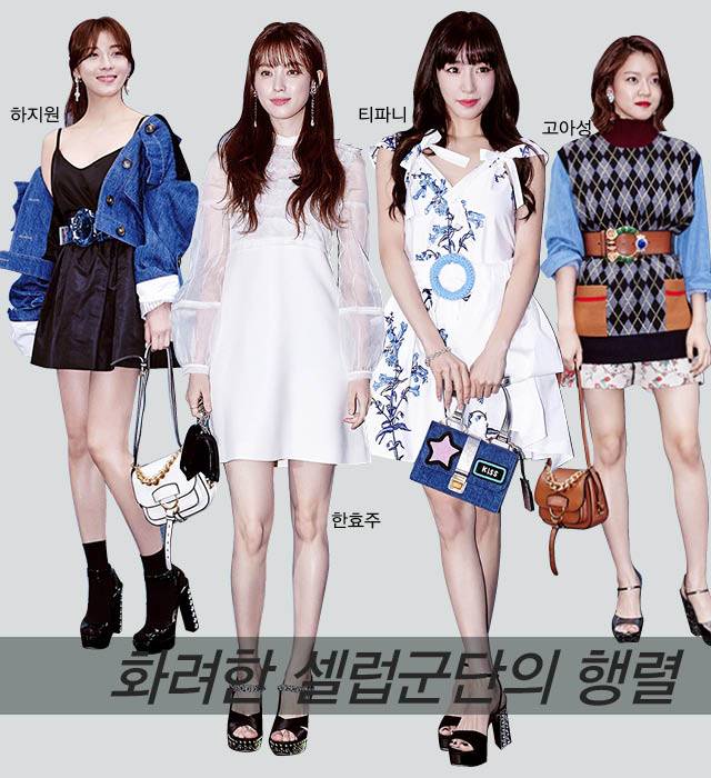 출처: 미우미우