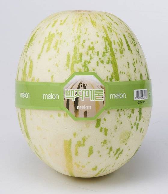‘백자 메론’