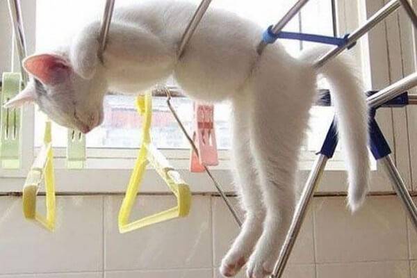 출처: news.pulpower.com