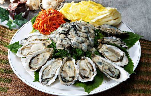 출처: 하이닥 공식 홈페이지/ 추위 저항력을 키워주는 굴