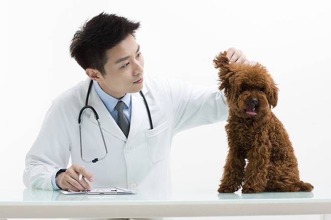 출처: gettyimagesbank