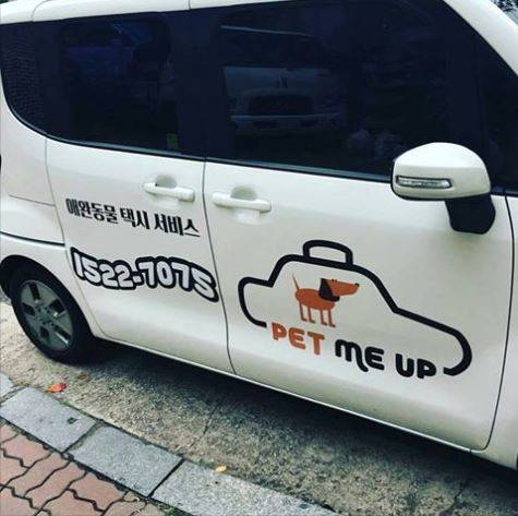 출처: 펫미업 페이스북 캡처