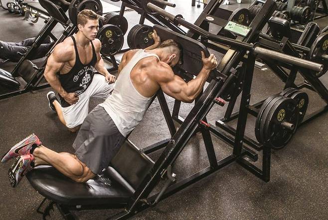 출처: 머슬앤피트니스