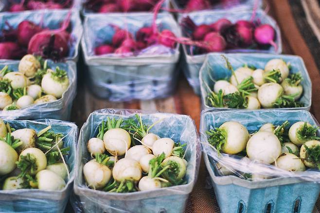 출처: shutterstock