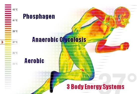 출처: https://koohsports.wordpress.com