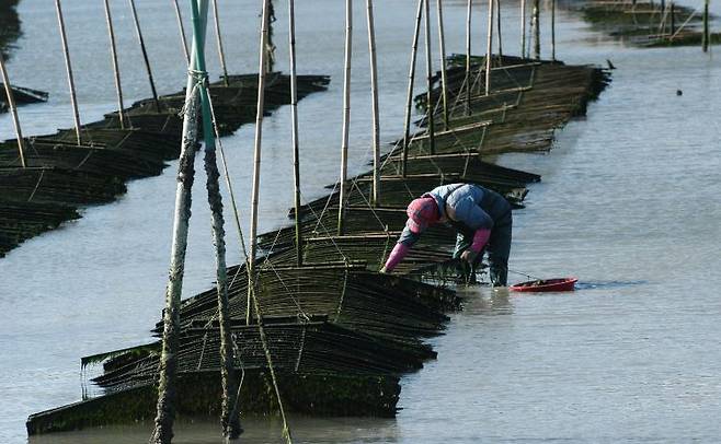 출처: 바다맛 기행