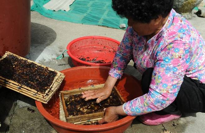 출처: 바다맛 기행