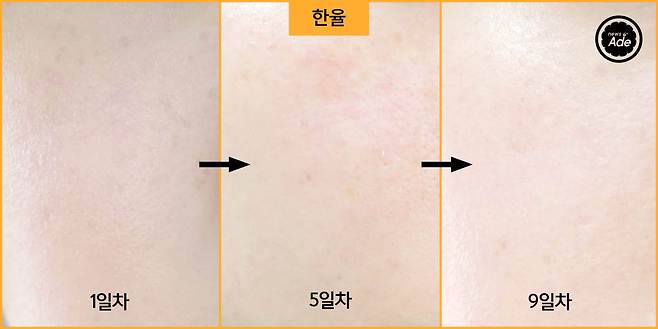 출처: 사진=최지연, 그래픽=계우주 기자