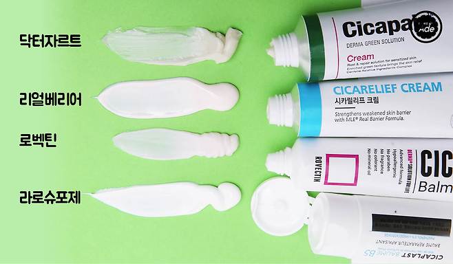 출처: 사진=최지연, 그래픽=계우주 기자