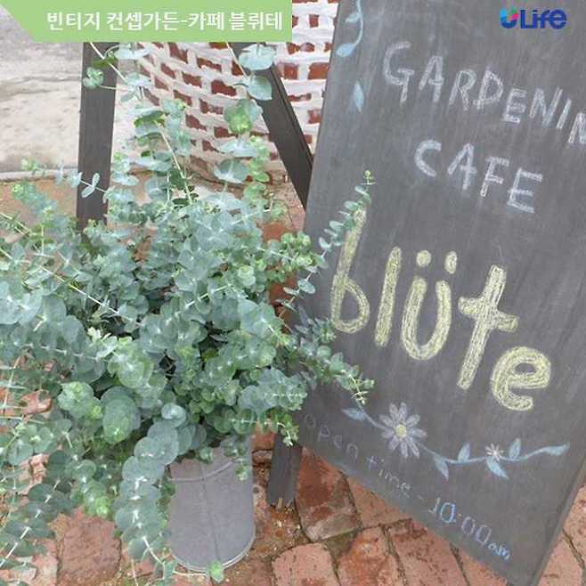 출처: 블뤼테 인스타그램