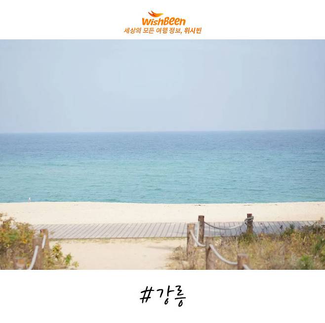 출처: Flickr | Dongho Kim