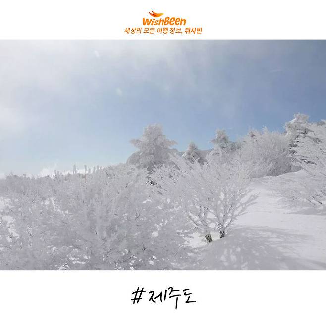 출처: Daumblog | 방울이