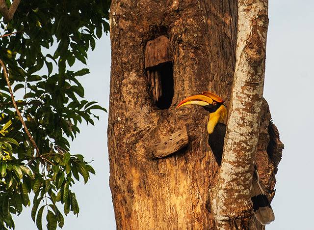 출처: 게티이미지뱅크