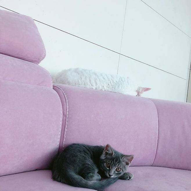 출처: 써니 인스타그램