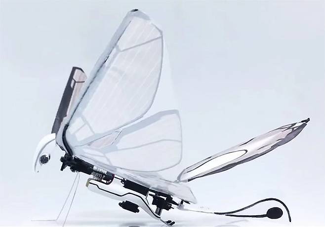 출처: MetaFly - Kickstarter